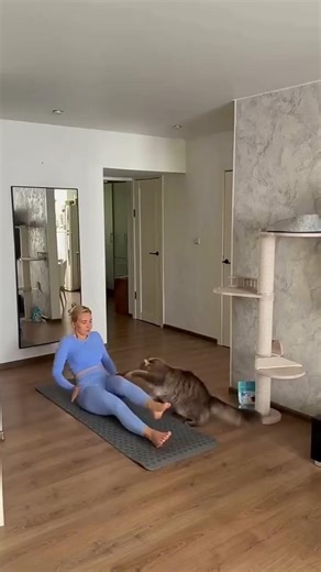 😹 Коты объявили войну ЗОЖникам #shorts