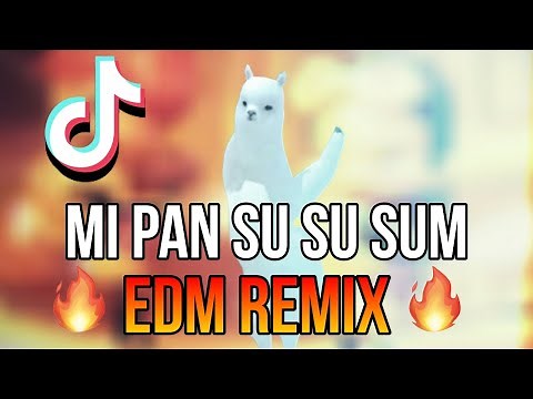 [TikTok Song] Mi Pan Su Su Sum (VGR Remix)