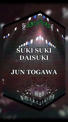 Jun Togawa - Suki Suki Daisuki Lyrics English Translation