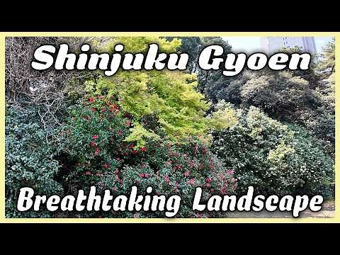 Shinjuku Gyoen Garden Tour 🌸 | Japanese Maples, Cherry Blossoms & Tranquil Landscapes (Part 2)