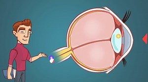 Eye Anatomy Study Vector Animation Stock Footage Video (100% Royalty-free) 14545837 | Shutterstock