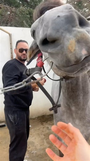 بِسْمِ اللهِ مَا شَاءَ اللهُ تَبَارَكَ الرَّحْمٰن #استعداد_الفنان