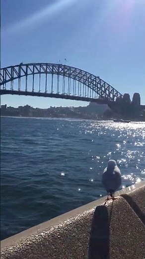 🇦🇺 Sydney Harbour Bridge 悉尼海港大桥