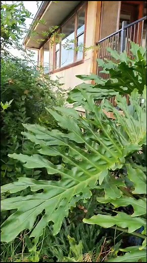 Attracting Wildlife to Your Garden: Creating a Safe Haven for Nature