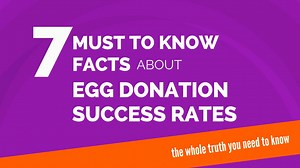 Donor Egg IVF Success Rates - What Clinics Don’t Tell You
