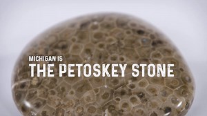 Have you ever found a Petoskey stone on the beaches of Pure Michigan? | MLive.com