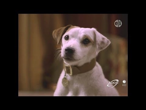 Wishbone "Twisted Tail" season 1 episode 3