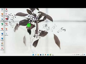 Windows 11 Home : How to turn on or off Clipboard history
