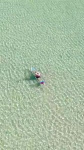 Above, a world of adventure; below, a clear window to the ocean’s secrets. Our clear kayak tours at Shell Key Preserve aren’t just trips; they’re voyages to a hidden world. Ready to make waves in the best way possible? | Get Up And Go Kayaking
