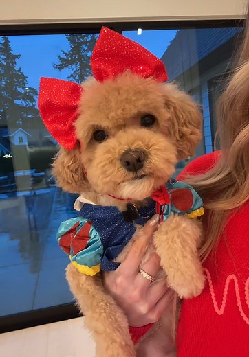 Review of the New Snow White Movie with Rachel Zegler