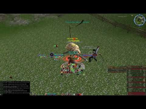 Lotro 174k Captain Parse