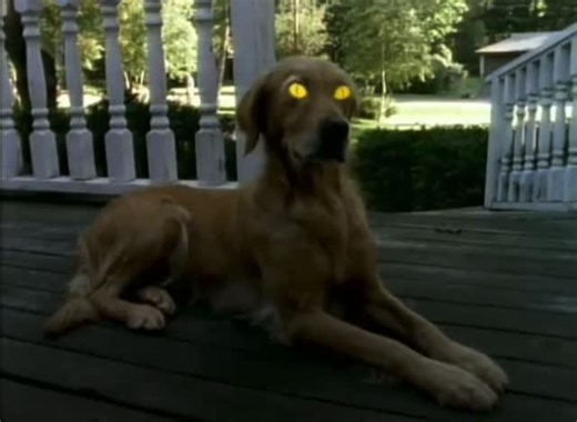 Memories from Your Childhood 🌠 | Goosebumps (1995) #90s #nostalgia #2000s #explorepage #halloween 🎃👻 | Instagram