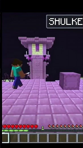 0% Logic in Minecraft That Will Shock You!