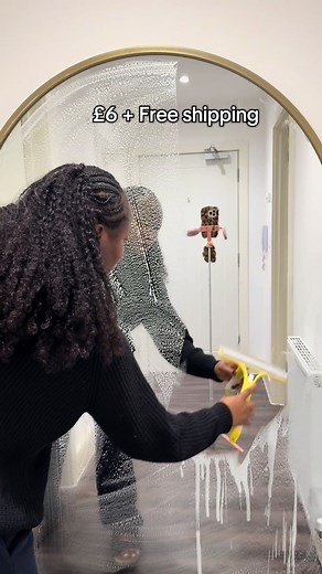 Effortlessly Clean Mirrors with a Squeegee Brush