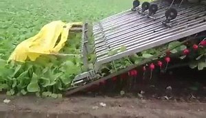 Agriculture Tecnology | Tractors & Farm Machinery