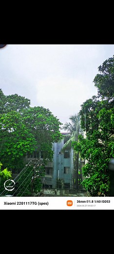 Turn your camera to next level using google camera📷 Xiomi note 11 Gcam = 🔥 (If you want to know anything about this gcam or config let me know in comment section) Follow me for more photography tips & editing tutorials💖 #sirox #siroxshot #trending #foryou #fypシ゚viral #explorepage #photographytips #tutorial #photography #tips #newtrend #latest #lightroom #edits #lightroompresets #presets #photoeditor #colorgrading #mobilephotography #creative #editing #editor #photography #photooftheday #photo