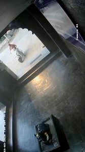 499K views · 2.3K reactions | 400 રૂપિયામાં 2 જોડી કોરસેટ..#opening #startup #ladieswear #fashion #ladies #ladiesfashion #trend #tranding #gujarat #surat #viral #viralreels #reels | Chetan Vaishnav | Facebook