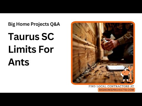 Taurus SC Residual Limits Carpenter Ant Strategy