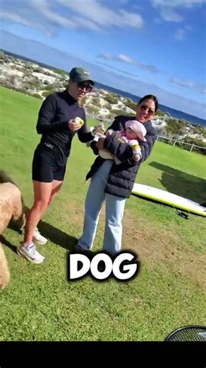 Unfortunately our video cutout half way but we had to show off beautiful Toshi the groodle #groodle