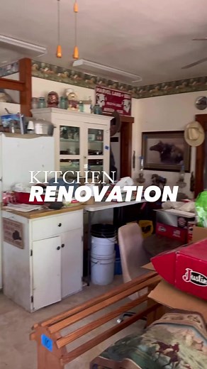 Syd | diysquid on TikTok