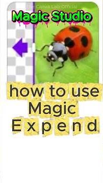 Make Any Image Fit in any Frame Perfectly with Canva Magic Expand