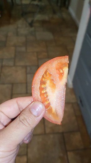 3 comments | My baby Cha-cha who loves eating tomatoes  good job, mommy's super proud 殺 #toddler #sahmlife #Rhea0526 #fypシ #healthyfood | Aehr Rhea | Facebook