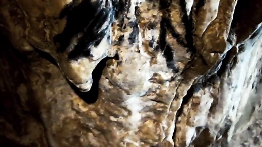 Exploring the Cave of Forgotten Dreams: A Journey Through Prehistoric Art