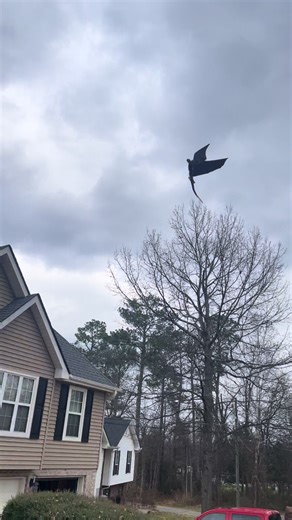 Toothless Toy Review from How to Train Your Dragon