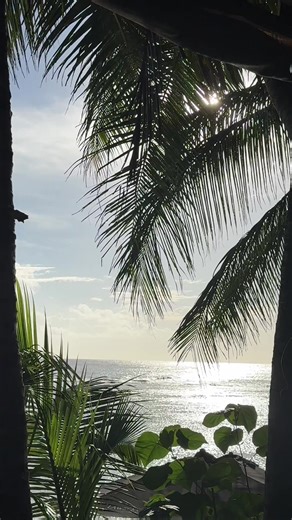 #naturalmystic #sunsetlover