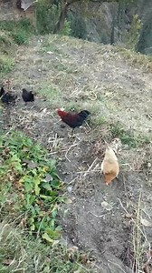 1M views · 38K reactions | Amazing view #beauty #nature #beautiful ❤❤ | Explore Mountain | Facebook