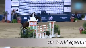 The Stallion Company on Reels