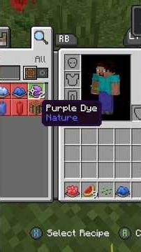 Speed running a random item in Minecraft (purple dye).