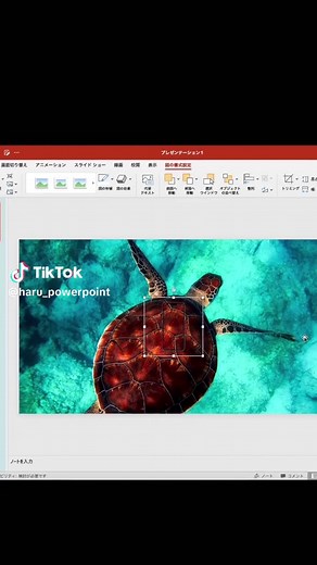 パワポ作成術で春旅を楽しもう！