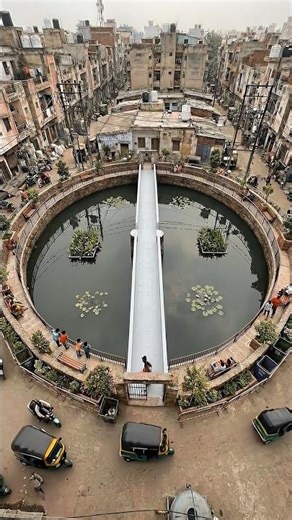 This Pond Was Dying… Until This Happened