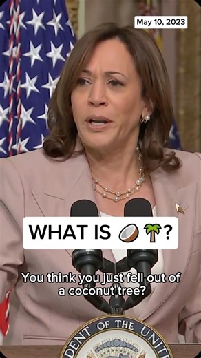 MSNBC on Instagram: "Did you just fall out of a coconut tree? Or have you just not seen these memes yet? A May 2023 clip of Kamala Harris has resurfaced and gone viral where the vice president says, “Do you think you just fell out of a coconut tree? You exist in the context of all in which you live, and what came before you.” MSNBC’s Ana Cabrera breaks down the latest internet sensation and answers the question: What is 🥥🌴?"