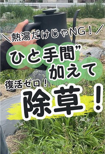 雑草対策の裏ワザ！熱湯と傷つける方法