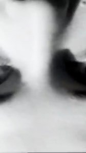 “You Win Again” by the Bee Gees released in 1987 🎲#YouWinAgain #beegees | Bee Gees