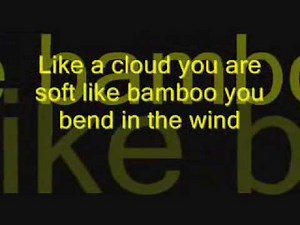 Lesson Number One-Mulan 2 Lyrics.wmv