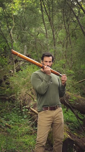 8.7K views · 7.6K reactions | Overtone flute 愈 #harmonic #highvibe #trance #psychedelic #fluteplayer #moviesoundtrack #soundtrack #highvibration #psytrance #higherfrequency #overtone #forest #flute | Christian Dimarco Music | Facebook