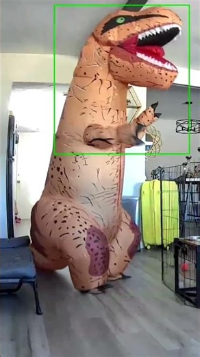 I became a T. rex costume and more arm swinging ;) #trex #funny #dance #metromanedit #armswing￼