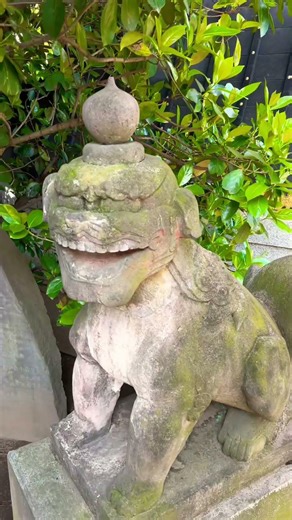 【覚悟】新宿の真ん中で「日本の始祖」と繋がる場所が凄すぎた。 The Imperial Origin: Shinjuku’s Sacred Lookout.
