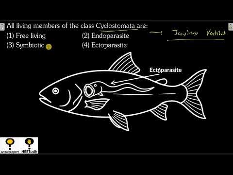 All living members of the class Cyclostomata are