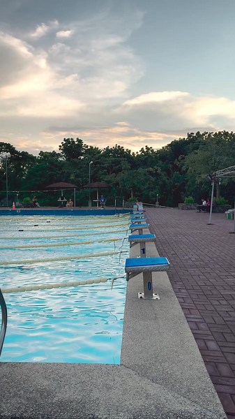 Swimmers Society on TikTok