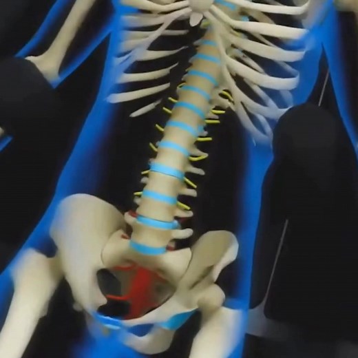 When you’ve tried ice, heat, therapy, or injections — but the pain never really goes away — it’s time for something different. At The Neck & Back Pain Institute, Dr. David Bass has been helping patients in New York and Coral Springs for over 46 years, treating thousands of cases of chronic back pain, sciatica, and disc conditions. Our unique approach uses the Antalgic-Trak® spinal decompression system to gently reduce pressure on compressed discs and nerves, supporting natural healing and mobili