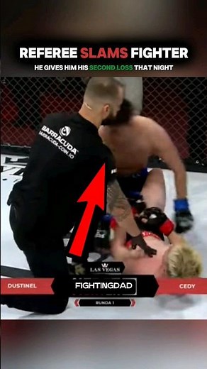 Referee SLAMS Fighter | WHEN REFEREES FIGHT BACK #mma