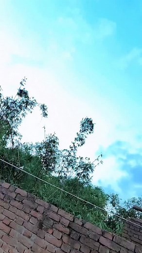 Chandeshwar Raj on Instagram: "#bhojapurireels❤️trding"