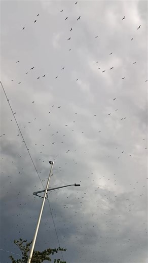 MEDO. 😮 O QUE ACHAM QUE VEM AÍ? | Quim
