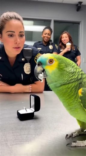 “When a Parrot Becomes the Boss of Cat & Dog 🤣 Animal Prank”
