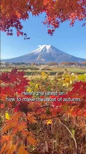 October in Japan Guide🍁 | Weather, Autumn Leaves & Seasonal Treats #japanlife