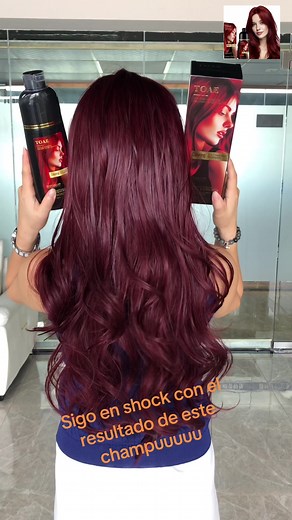 Champú Herbal para teñir el cabello en casa